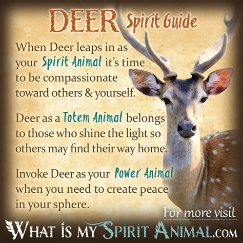 Deer Symbolism & Meaning | Spirit, Totem & Power Animal | Animal totem spirit guides, Animal ...