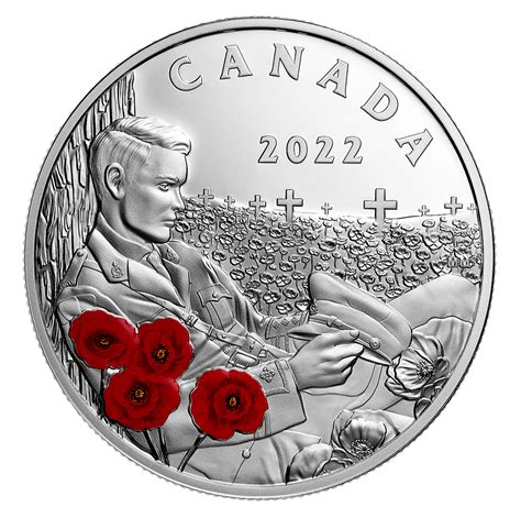 The red poppy: A symbol of sacrifice, a call to Remembrance. in 2023 | Remembrance day, Coins ...