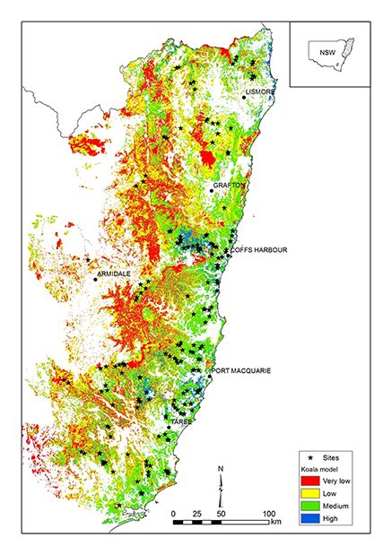 Koala research in NSW forests