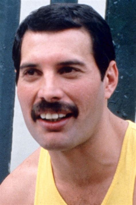 Freddie Mercury hairstyle - | Freddie mercury, Freddie mercury mustache ...