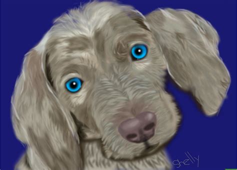 Puppy » drawings » SketchPort