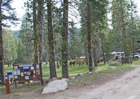 Clark Fork Campground - TrailMeister