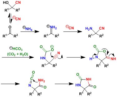 Bucherer-Bergs Hydantoin Synthesis | Chem-Station Int. Ed.