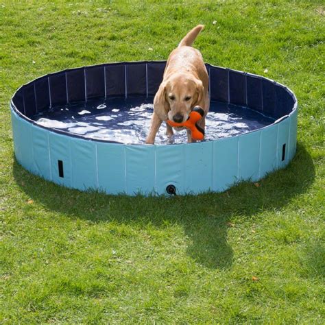 Doggy Paddling Pool | zooplus.co.uk | Dog pool, Dog swimming pools, Doggy