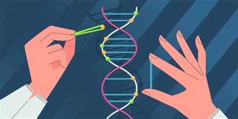 An Overview of Biological Engineering in 2021 | by Nouhaila Fellahi | students x students