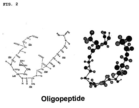 Oligopeptides