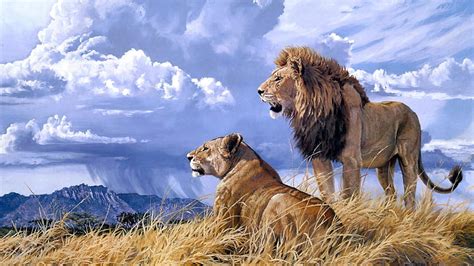 HD wallpaper: Pride Art Lion Animals Ultra 3840×2160 Hd Wallpaper ...