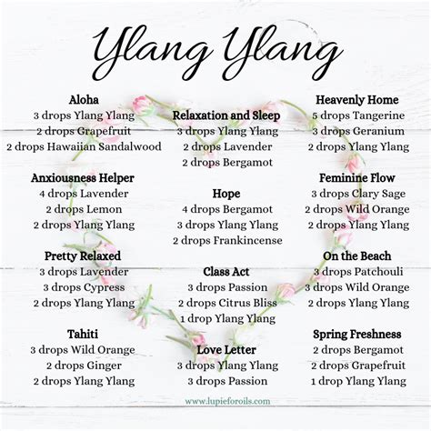 Ylang Ylang diffuser blends in 2021 | Essential oil combinations, Ylang ...