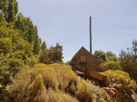 Australian mums Melbourne: Lavandula Lavender Farm - Daylesford