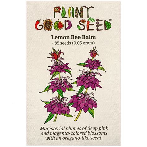 Lemon Bee Balm Seeds - The Plant Good Seed Company