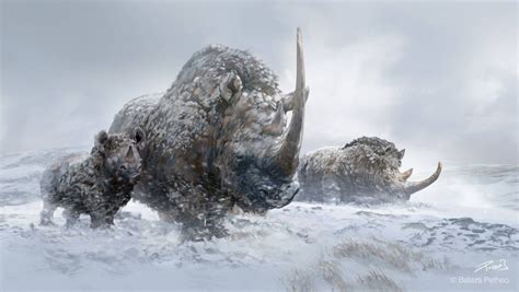 Woolly Rhinos by Balcsika on DeviantArt Prehistoric World, Prehistoric ...