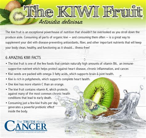 Flesh, Fiber, Skin & Seeds: The Incredible Health Benefits of Kiwi Fruit