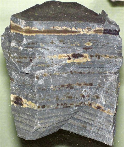 Carbonaceous siltstone (Nonesuch Formation, Precambrian; K… | Flickr