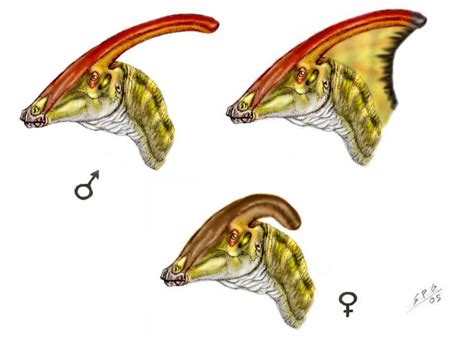 Parasaurolophus walkeri by unlobogris on DeviantArt