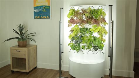 This Indoor Garden Grows Up to 30 Fruits and Vegetables With Little Maintenance Required ...