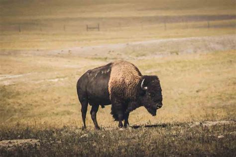 9 Awesome Badlands Trails: Guide to Hiking in Badlands National Park