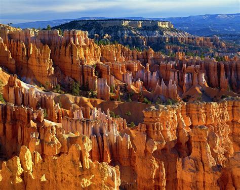 Hoodoo Rock Formations, Bryce Canyon by Design Pics/david L. Brown