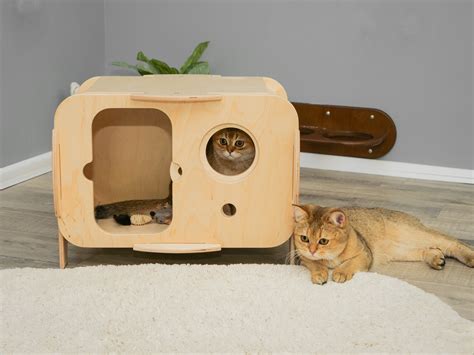 Cat house indoor Pet bed house Light Cat House Cat place | Etsy