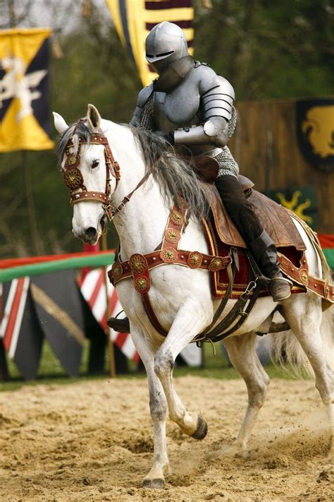 Joust! | Medieval horse, Horse armor, Medieval knight