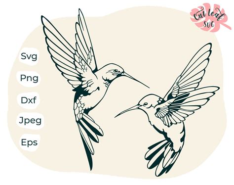 Hummingbird Svg Hummingbird Clipart Hummingbird Cut File - Etsy