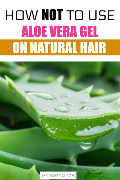 Aloe Vera Gel For Hair Growth And How To Use It On Your Natural Hair | Natural hair growth tips ...