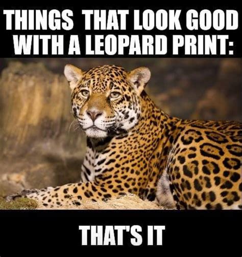 Pin on Funny $tuff | Leopard print, Leopard, Best funny pictures