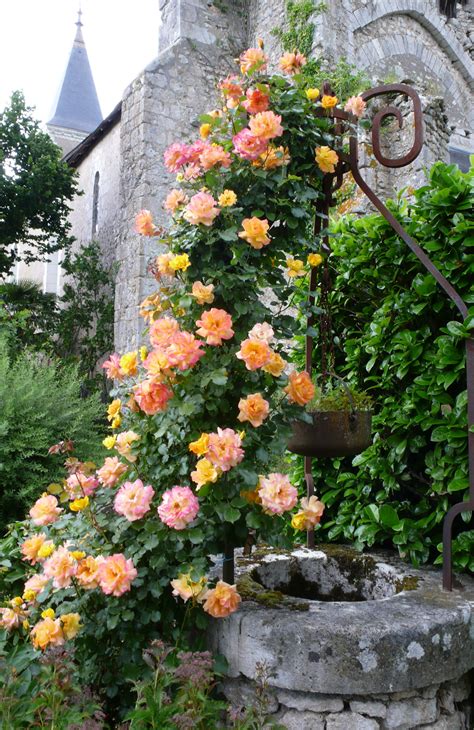 A Rose Garden in a Priory | Aussie in France