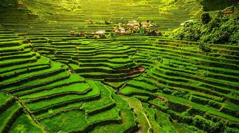 Banaue Rice Terraces | Cool places to visit, Rice terraces, Beautiful places to visit