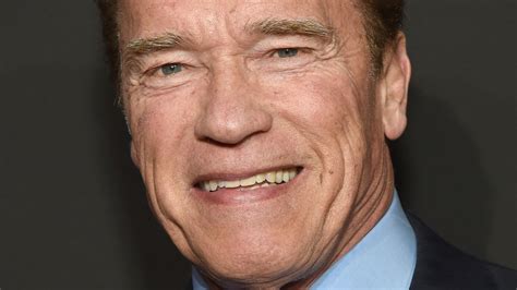 Mildred Baena: Who Is The Mother Of Arnold Schwarzenegger's Son Joseph Baena?