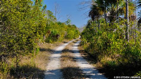 Big Cypress National Preserve | WHEN TO VISIT | Bringing you America, one park at a time