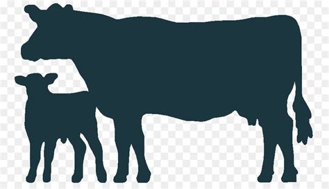 Jersey cattle Calf Clip art - cow png download - 512*512 - Free ...