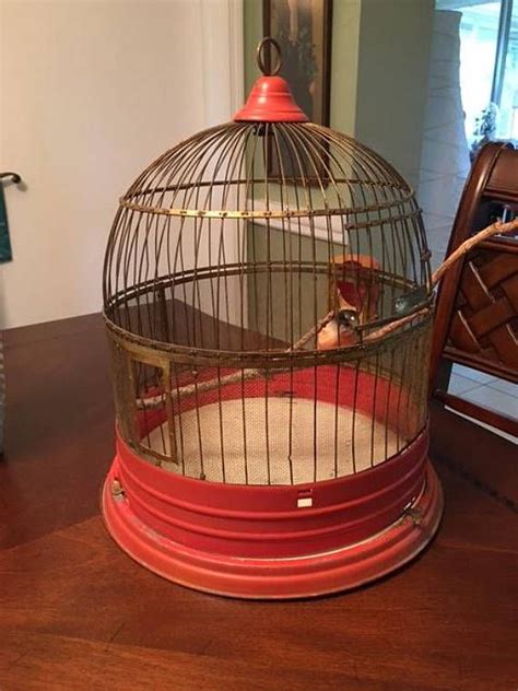 Clearance Bird Cage HENDRYX USA All Original 1900 | Etsy | Bird cage ...