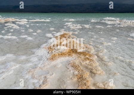 Africa, Djibouti, Lake Assal. Salt crystals emerging from the water with mountains in the ...