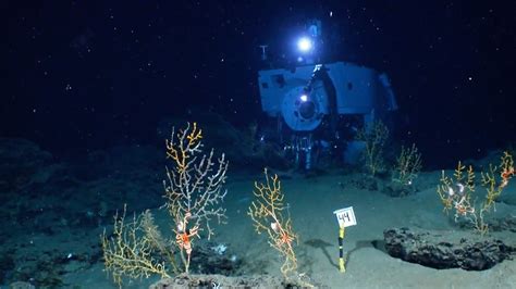 Watch The Alvin Submarine Part 2: Incredible Views On-Board the Deep-Sea Vessel | The Window | WIRED