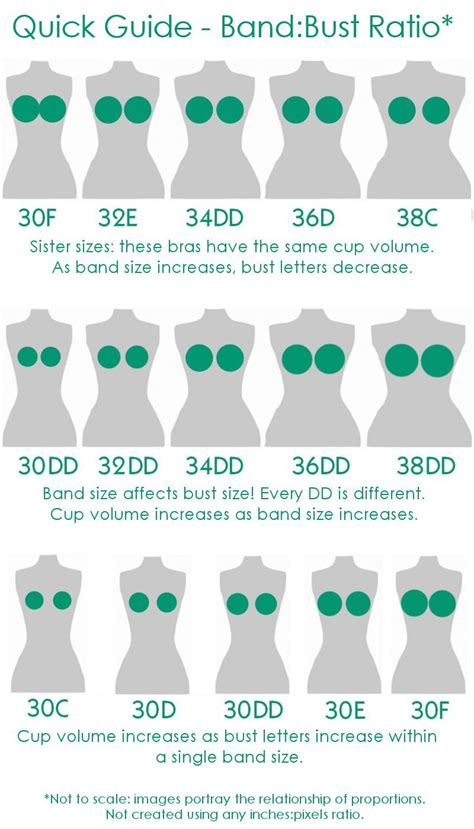 A helpful chart for bra sizes | Bra fitting, Bra, Fashion