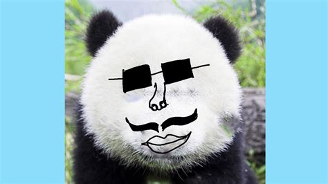 Panda | Meme drawing face on panda - YouTube