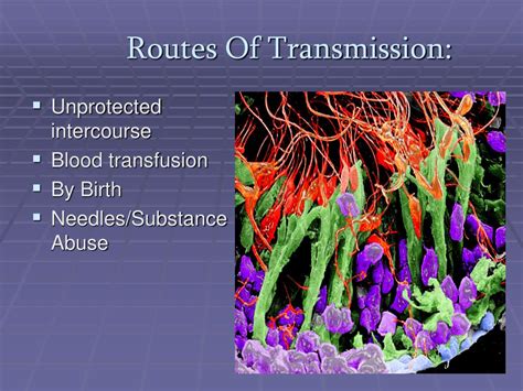 PPT - HIV/AIDS: Population Study PowerPoint Presentation - ID:757613