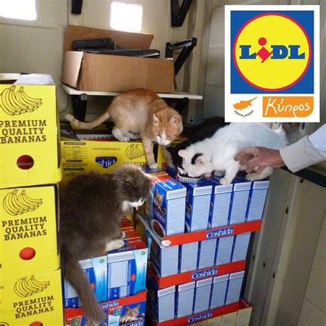 Thank you LIDL Cyprus! – Malcolm Cat Protection Society