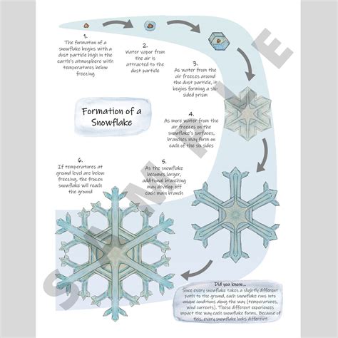 Snowflake Formation Poster: How Snowflakes Form Science - Etsy