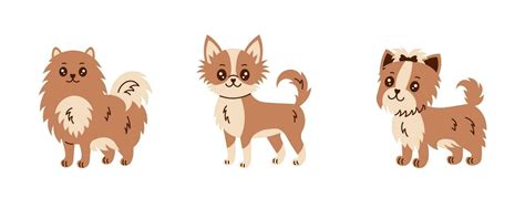 Small dog breeds vector set 36201427 Vector Art at Vecteezy