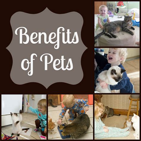 Farm Fresh Adventures: Benefits of Pets: Life with Moore Babies (Guest Post)