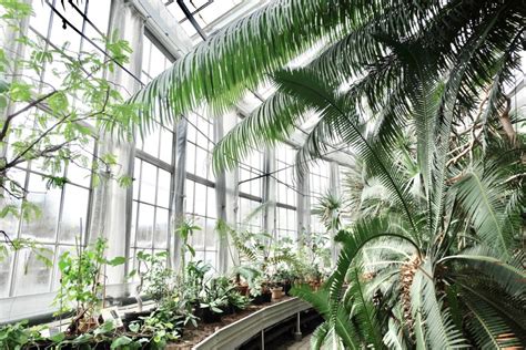 Back to Nature in Copenhagen Botanical Garden - Michelle Franc-LeeMichelle Franc-Lee