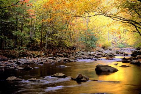 Great Smoky Mountains National Park, Tennessee, USA - Traveldigg.com