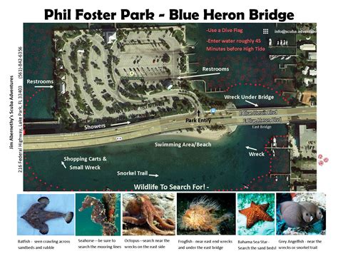 Dive the Blue Heron Bridge – Scuba