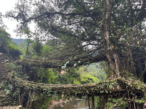 Trekking Through Sohra to the Double Decker Bridge: Unveiling Nature's Majesty and Human Resilience