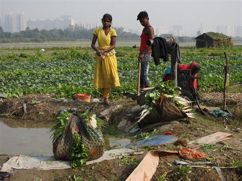 Urban agriculture: Towards an inclusive approach to make Delhi an ‘edible city’