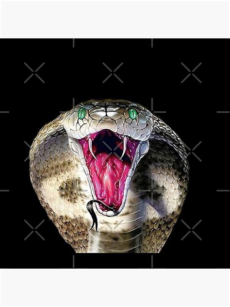 "Cobra fangs viper serpent snake fangs forked tongue flick poison Open ...