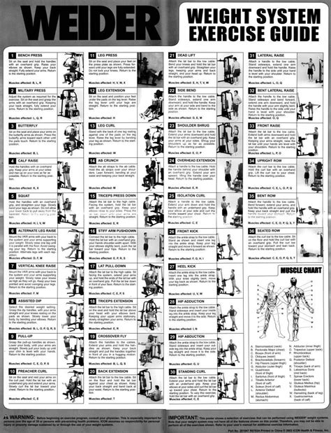 Gold S Gym Xrs 50 Exercise Chart Pdf Yourviewsite Co | Gym workouts machines, Workout chart ...