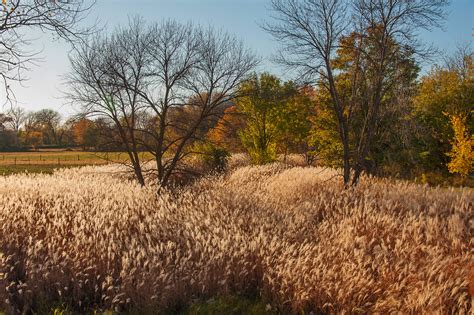 Polk County, Iowa near Elkhart. | Carl Wycoff | Flickr