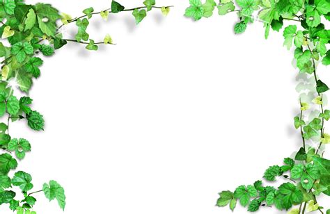 Green Border Frame Clipart Borders And Frames Png Free Transparent | Images and Photos finder